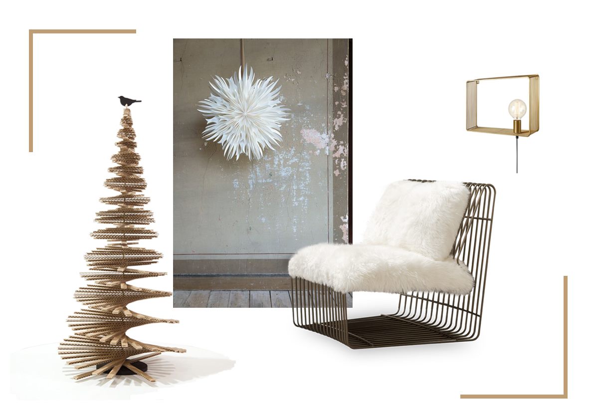 Coups de cœur de ce mois de novembre…