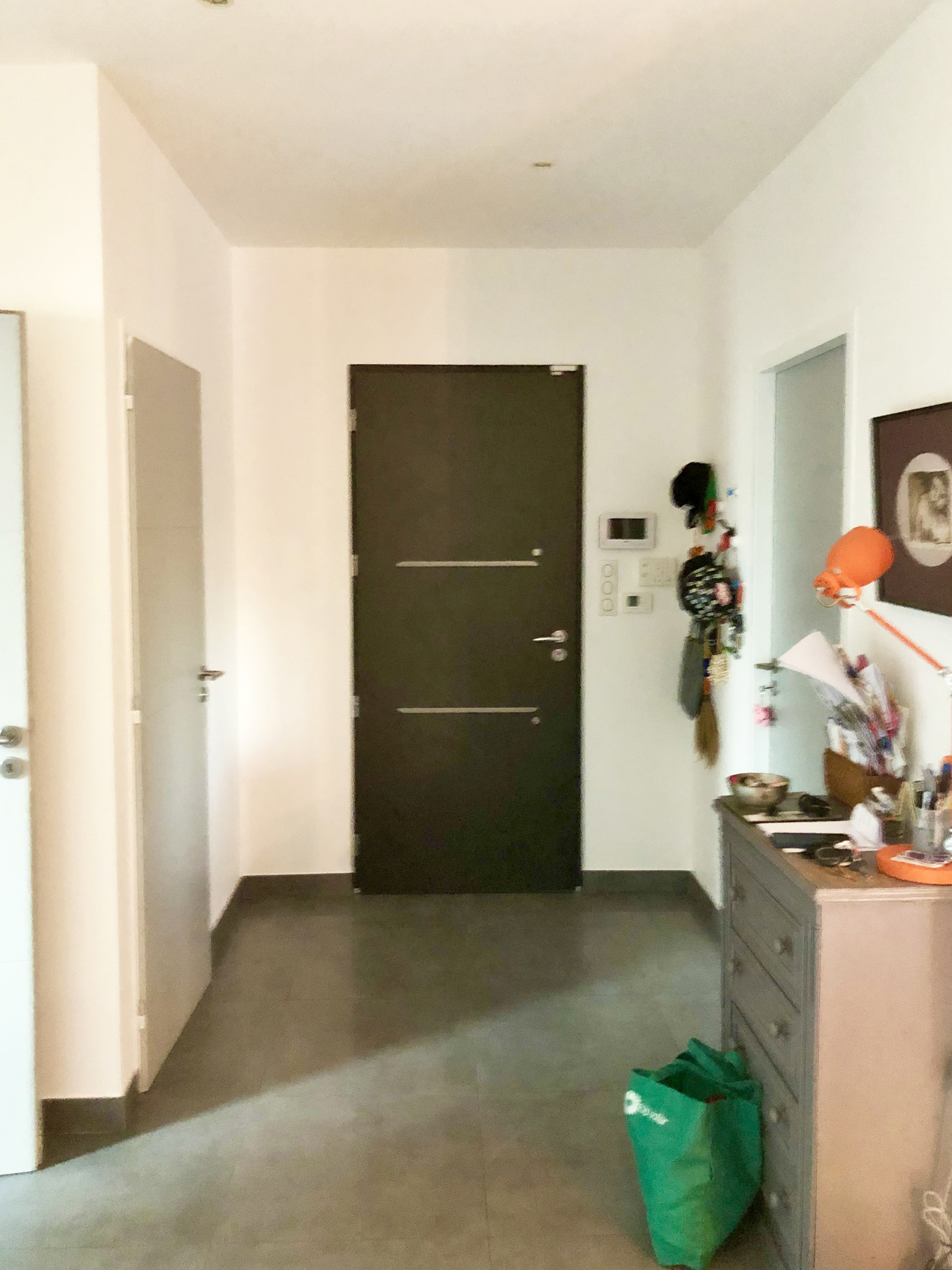 avant-entree-maison-contemporaine-saint-gely-01