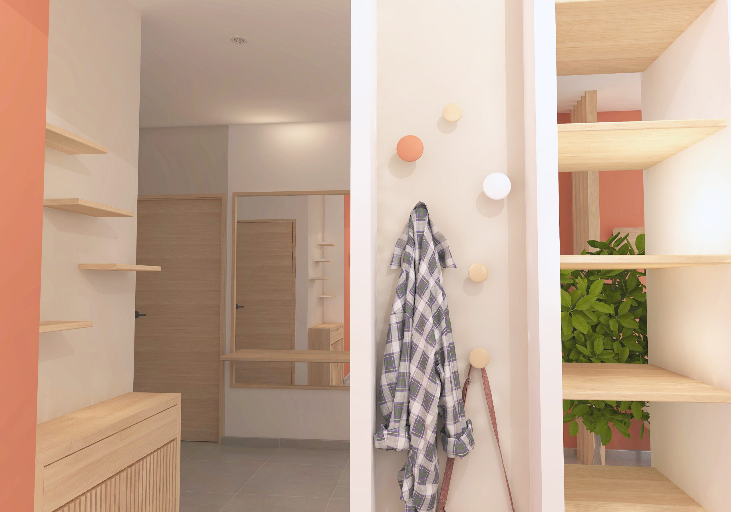 projet-3D-RDC-entree-miroir-etageres-pateres