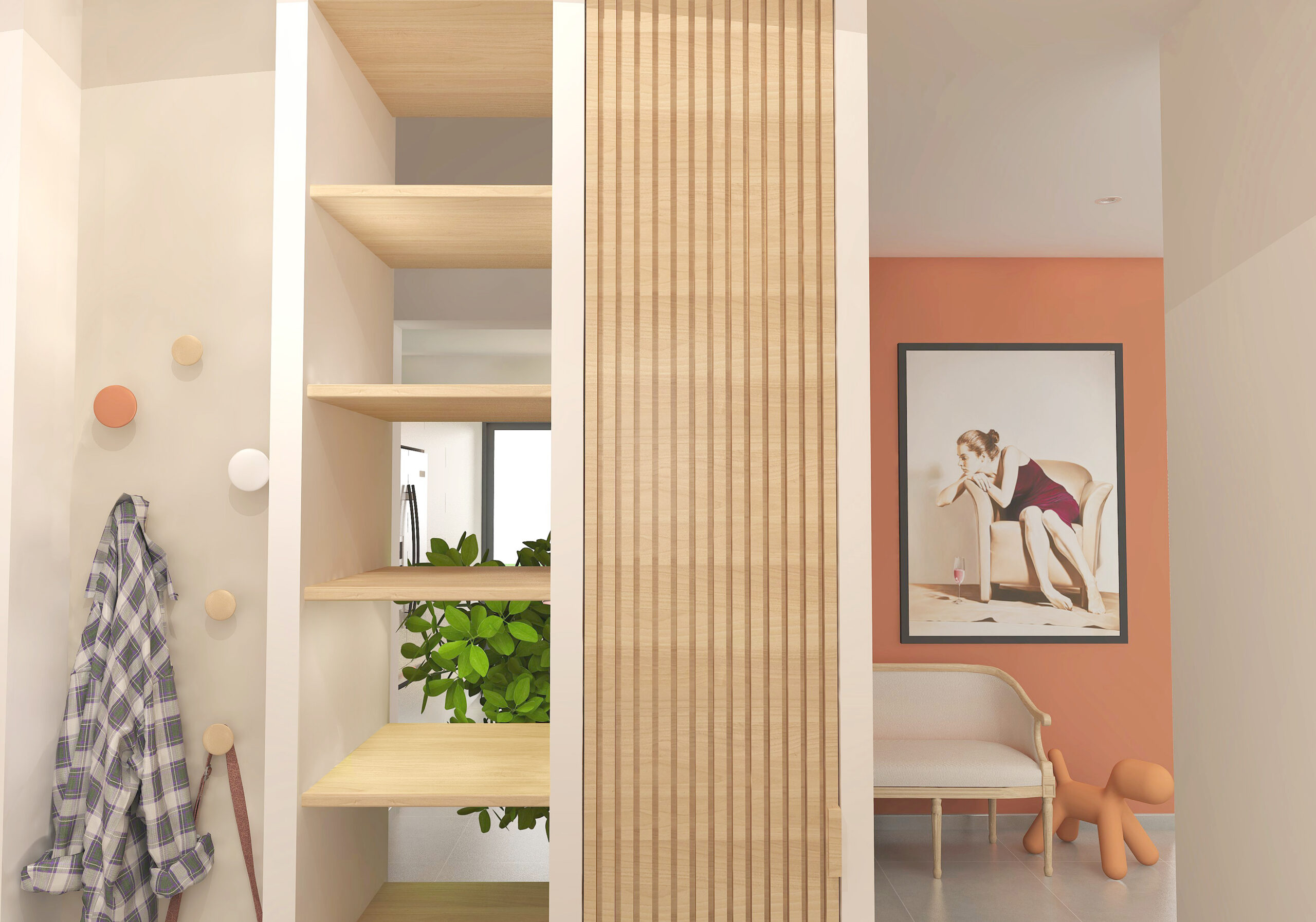 projet-3D-RDC-entree-placard-etageres-pateres